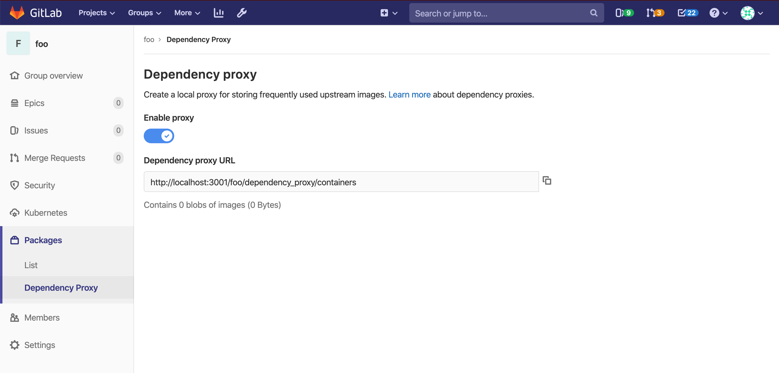 Dependency Proxy group page